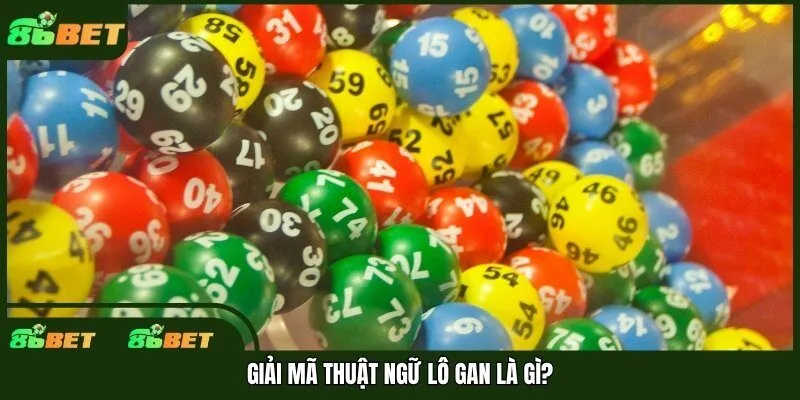 Giải mã thuật ngữ lô gan là gì?